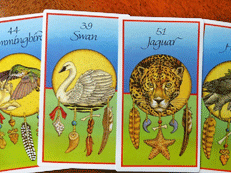 アニマルメディスンカード